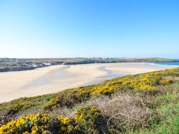 Saltwater Apartment Newquay  Bagian luar foto